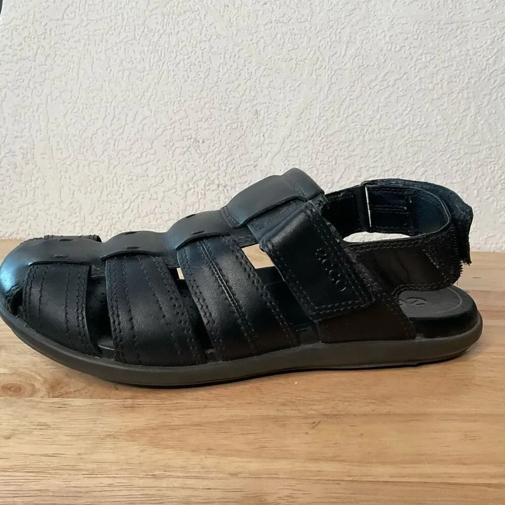 Ecco elevate your